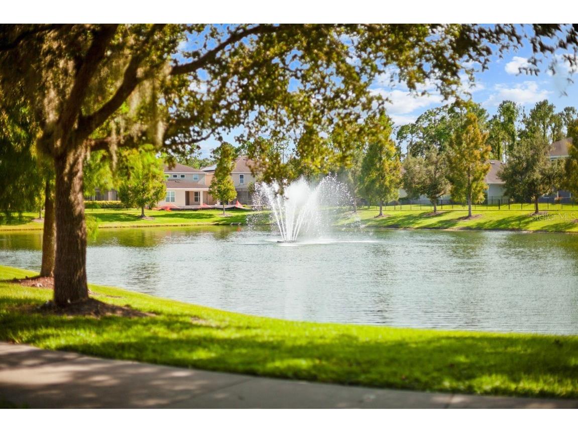 1073 Vinsetta Circle Winter Garden FL 34787 O6328215 image4