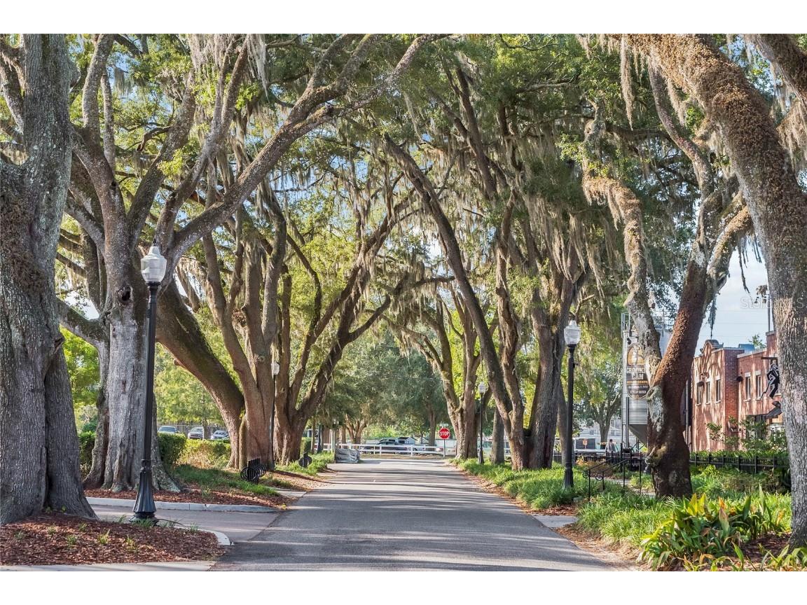 1073 Vinsetta Circle Winter Garden FL 34787 O6328215 image59