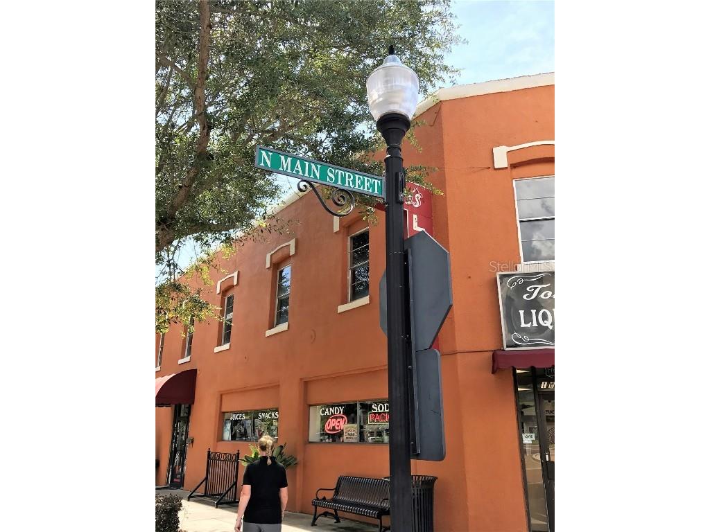 1073 Vinsetta Circle Winter Garden FL 34787 O6328215 image65