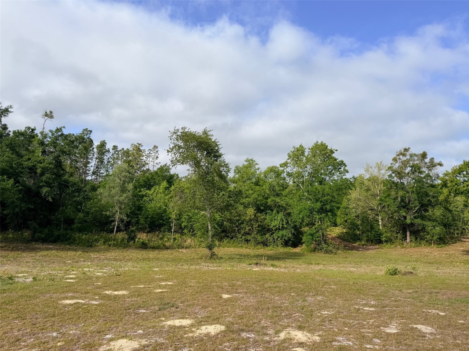10730 198th Terrace O'Brien FL 32071 GC539904 image28