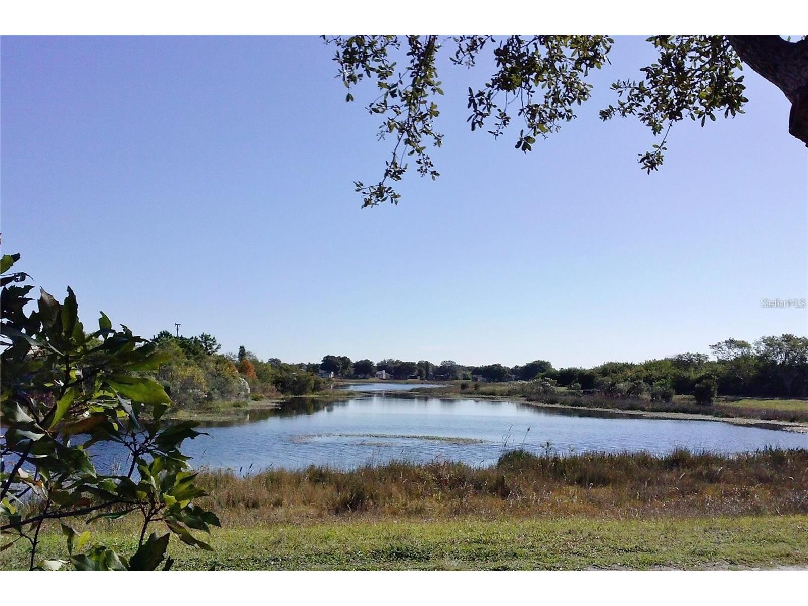 10730 43rd Street N #504 Clearwater FL 33762 TB8507146 image24