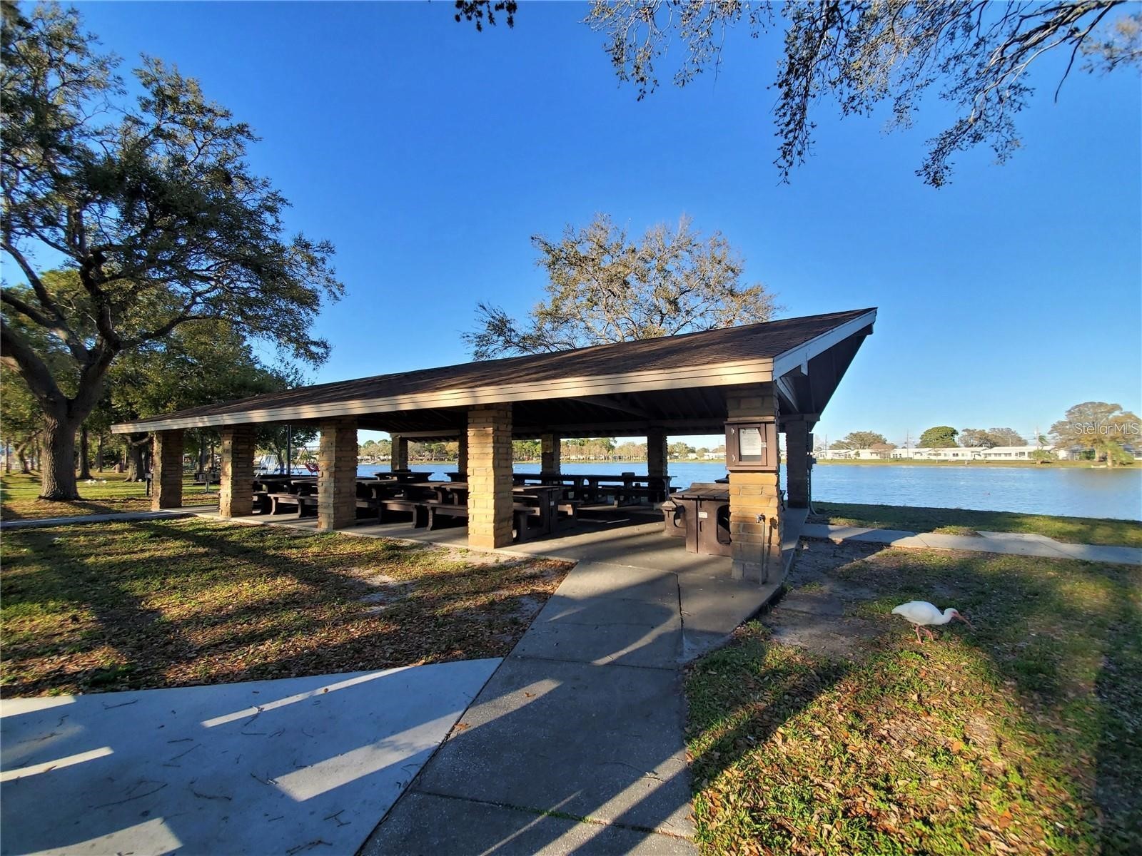 10730 43rd Street N #504 Clearwater FL 33762 TB8507146 image29