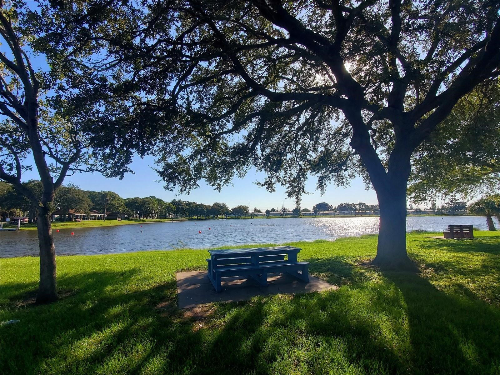 10730 43rd Street N #504 Clearwater FL 33762 TB8507146 image31