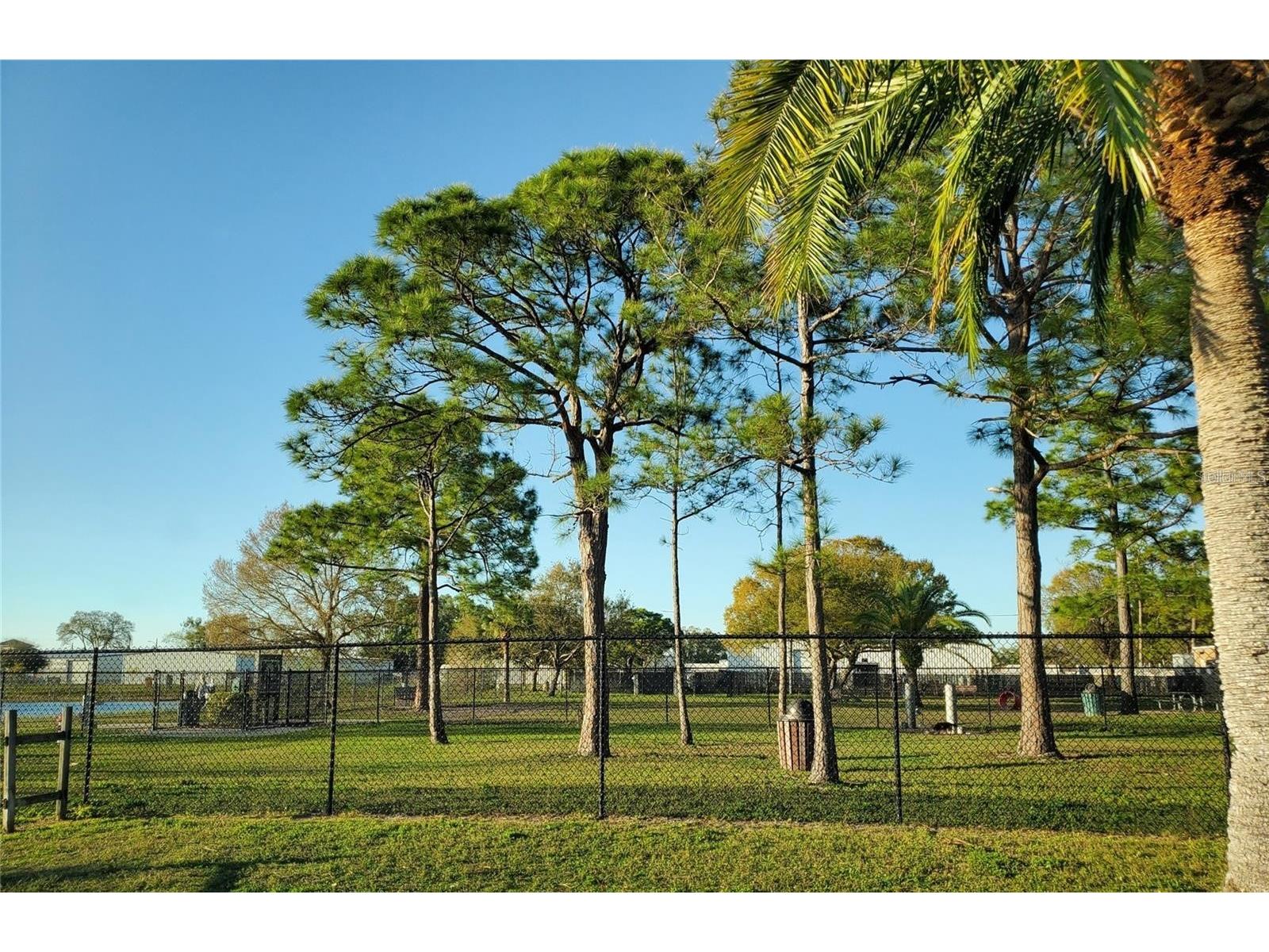 10730 43rd Street N #504 Clearwater FL 33762 TB8507146 image40