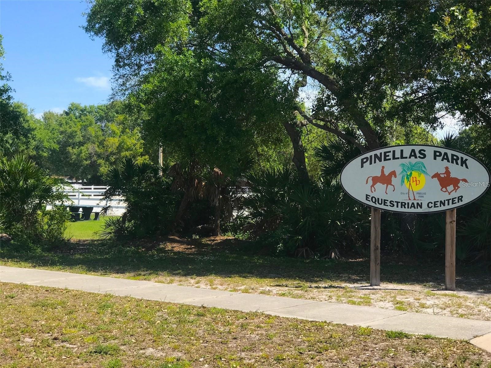 10730 43rd Street N #504 Clearwater FL 33762 TB8507146 image46
