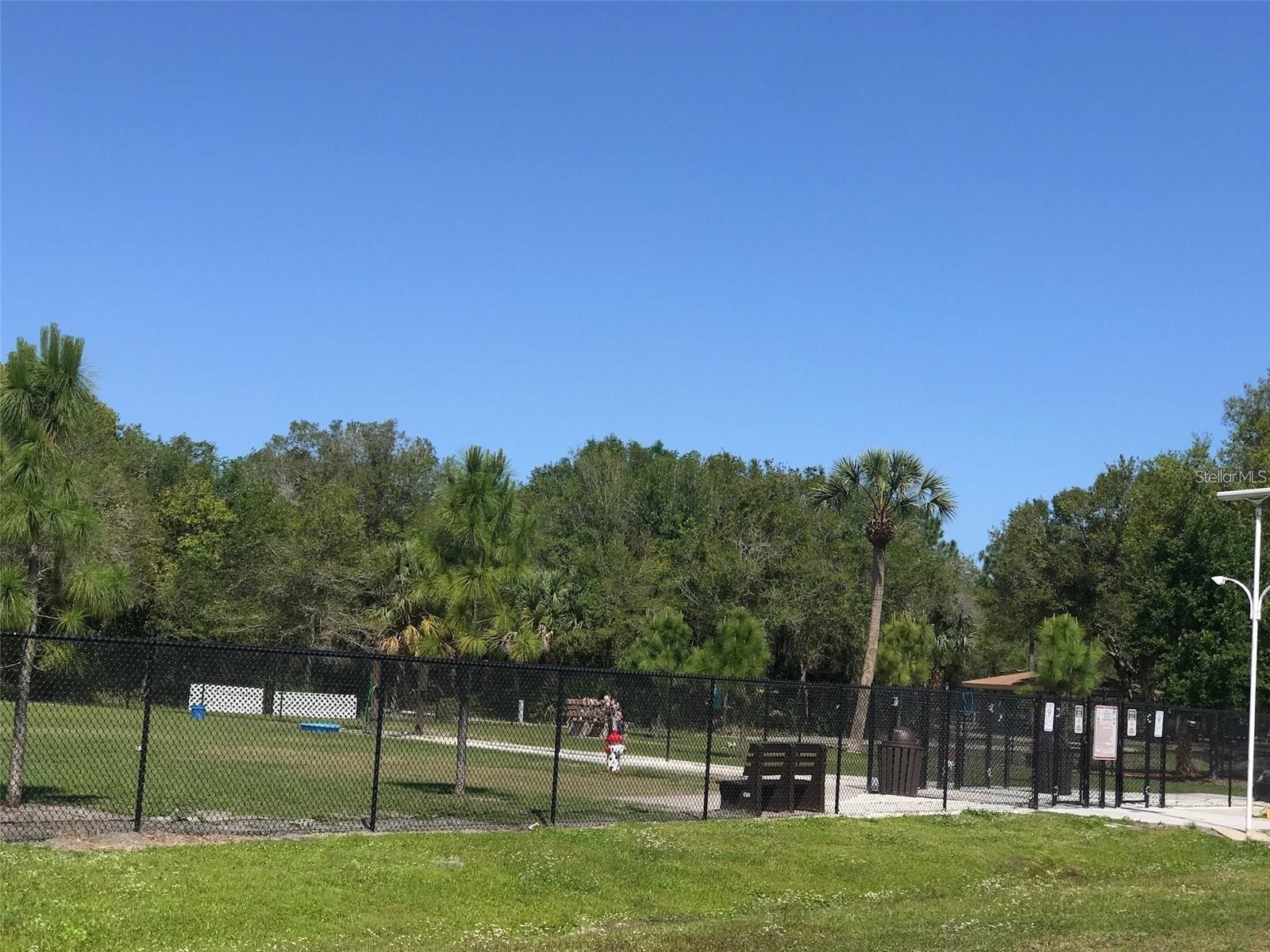 10730 43rd Street N #504 Clearwater FL 33762 TB8507146 image47