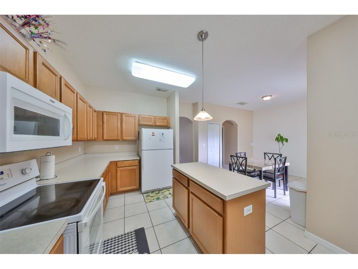 10730 Shady Preserve Drive Riverview FL 33579 TB8354384 image11