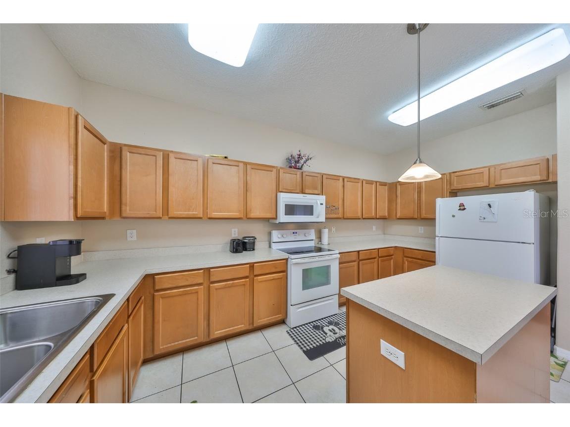 10730 Shady Preserve Drive Riverview FL 33579 TB8354384 image12