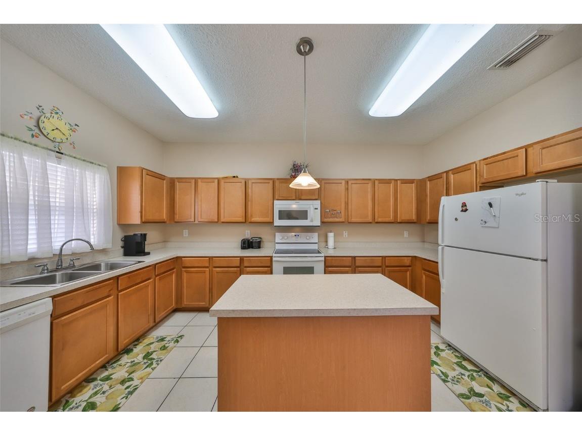 10730 Shady Preserve Drive Riverview FL 33579 TB8354384 image13