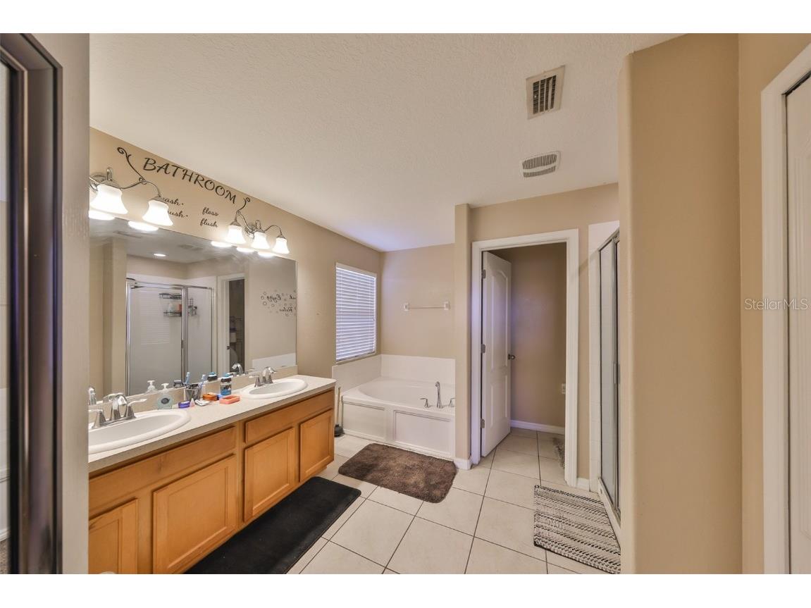 10730 Shady Preserve Drive Riverview FL 33579 TB8354384 image31