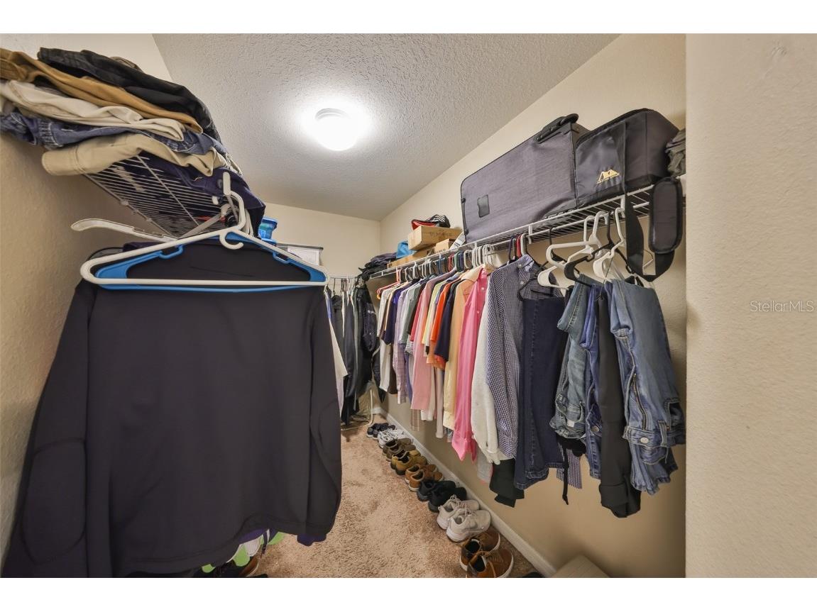 10730 Shady Preserve Drive Riverview FL 33579 TB8354384 image32