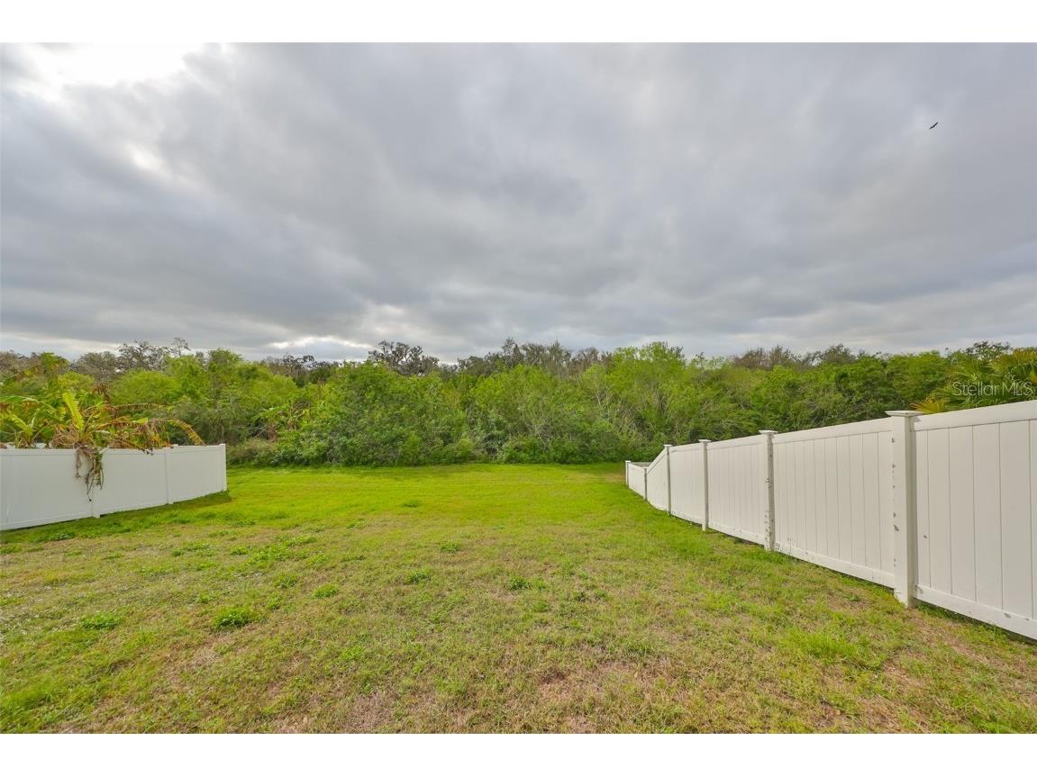 10730 Shady Preserve Drive Riverview FL 33579 TB8354384 image35