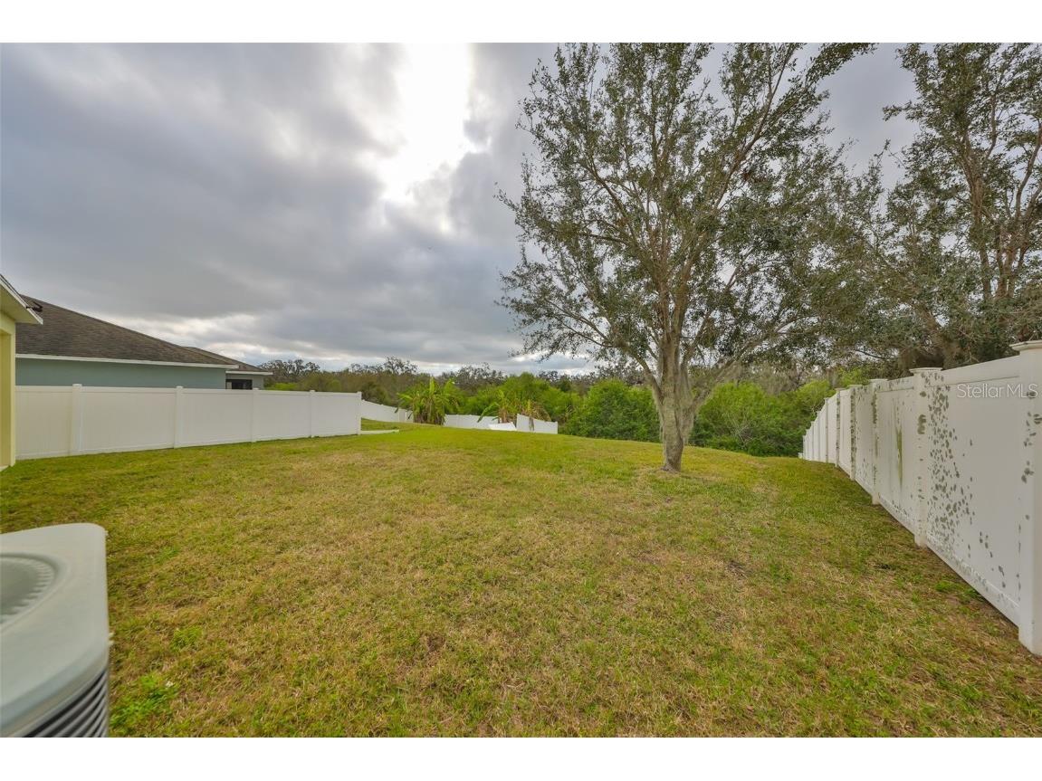 10730 Shady Preserve Drive Riverview FL 33579 TB8354384 image36