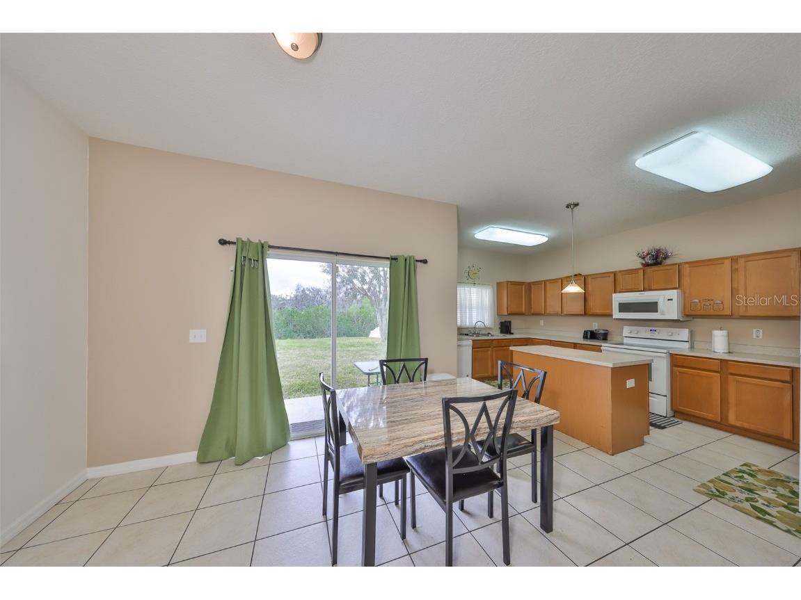 10730 Shady Preserve Drive Riverview FL 33579 TB8354384 image7