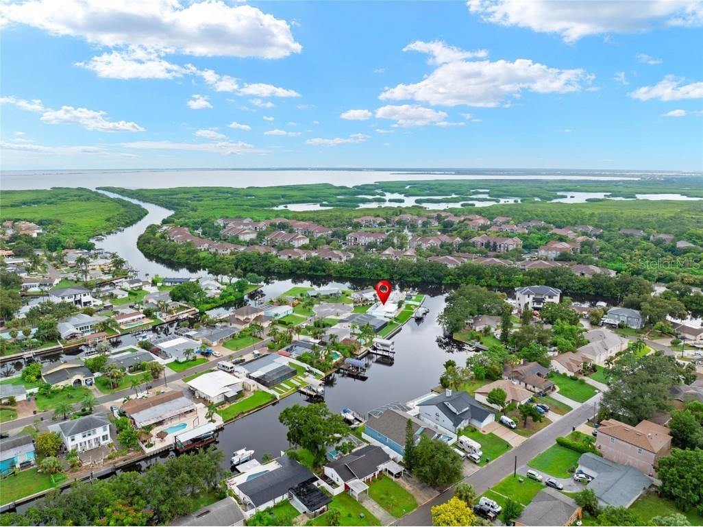 10731 Dowry Ave Tampa FL 33615 TB8424703 image8