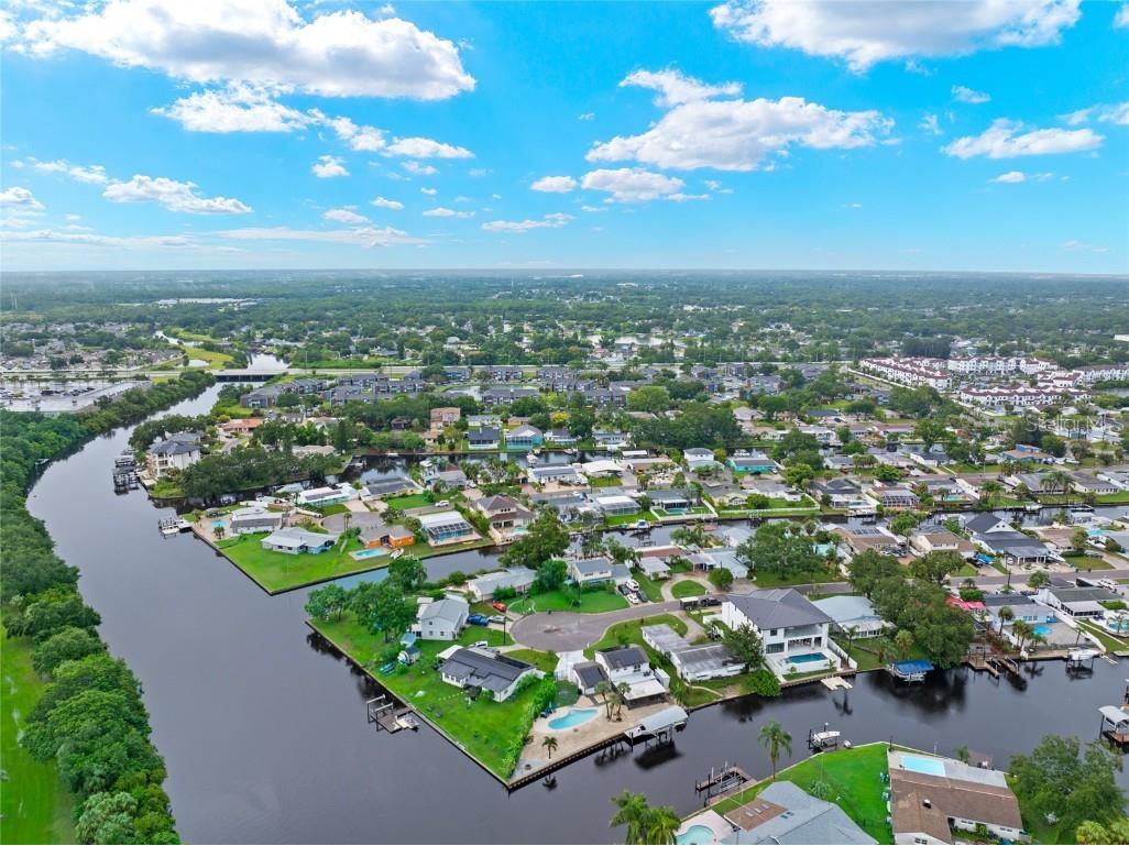 10731 Dowry Ave Tampa FL 33615 TB8424703 image85