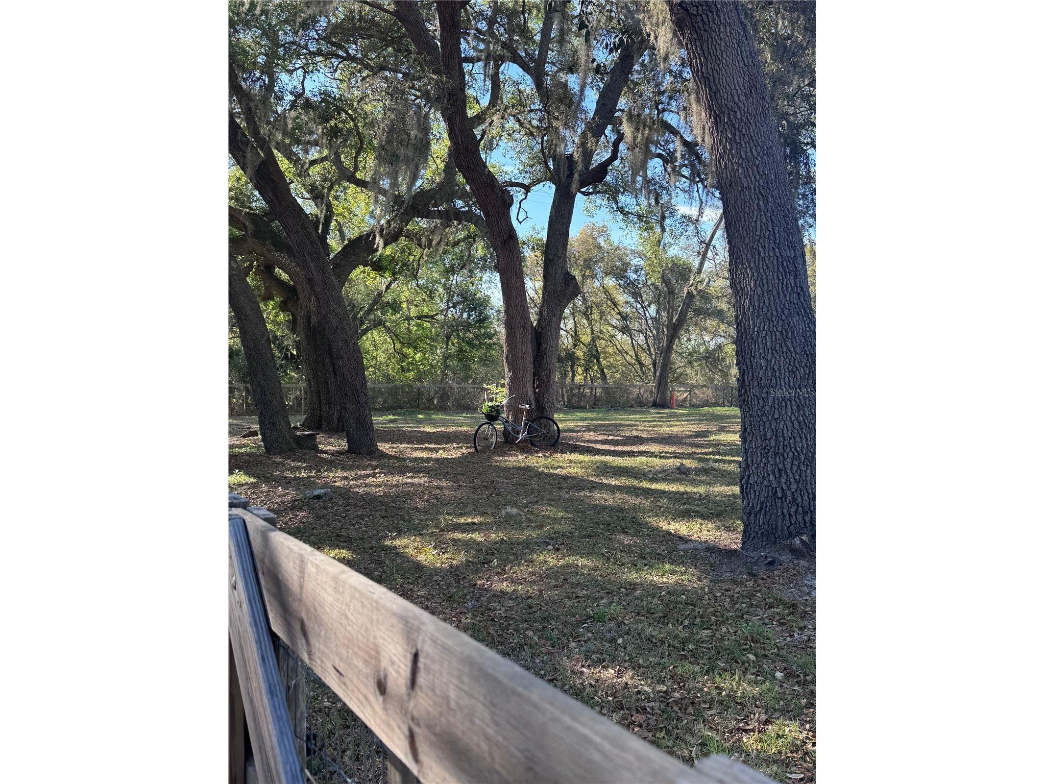 10731 Libby Number 3 Road Clermont FL 34715 G5109989 image31