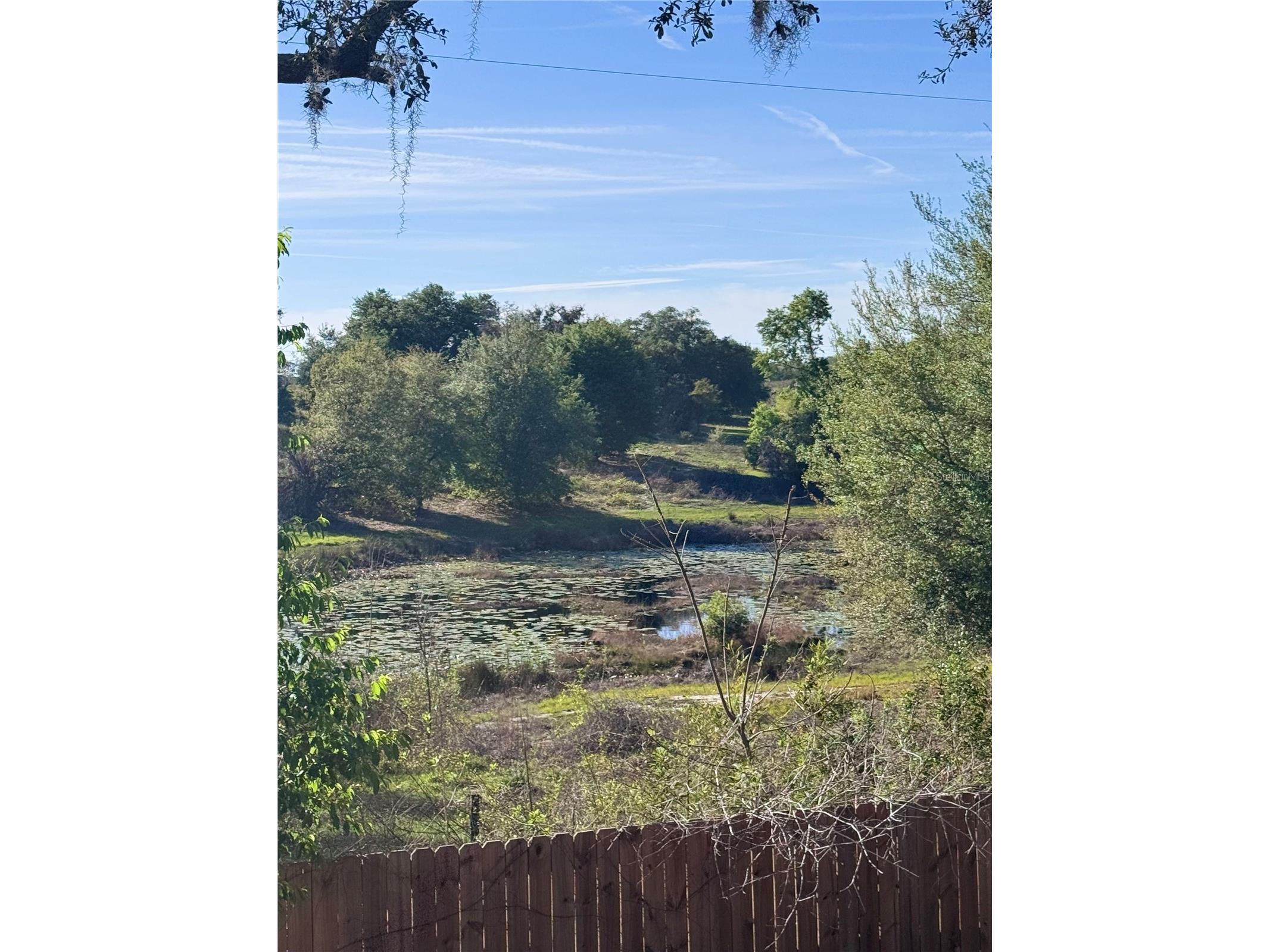 10731 Libby Number 3 Road Clermont FL 34715 G5109989 image38
