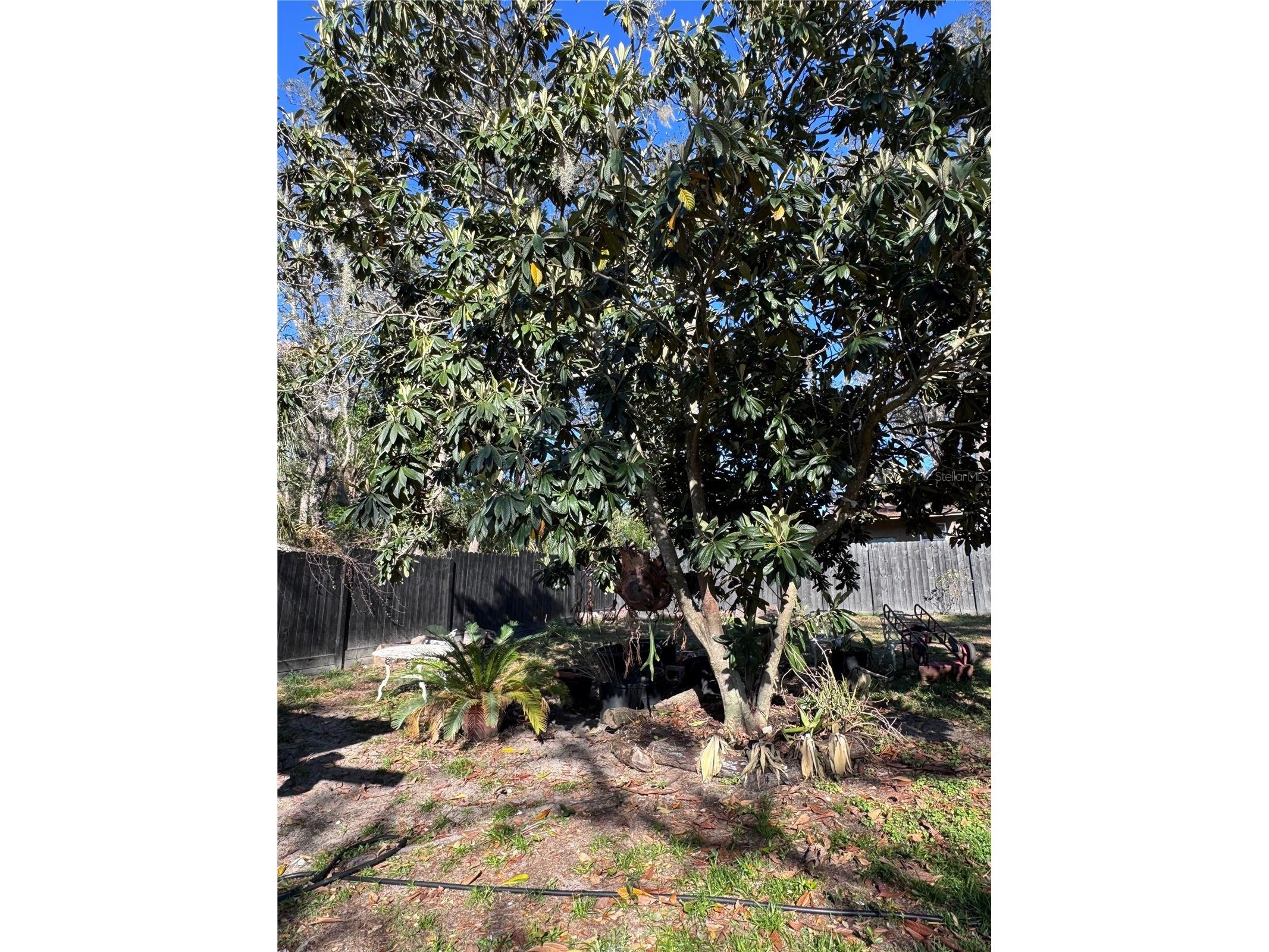 10731 Libby Number 3 Road Clermont FL 34715 G5109989 image49