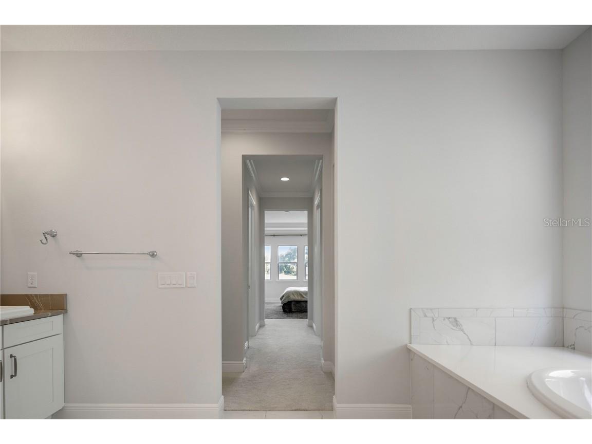 10732 Mobberley Circle Orlando FL 32832 O6358691 image37