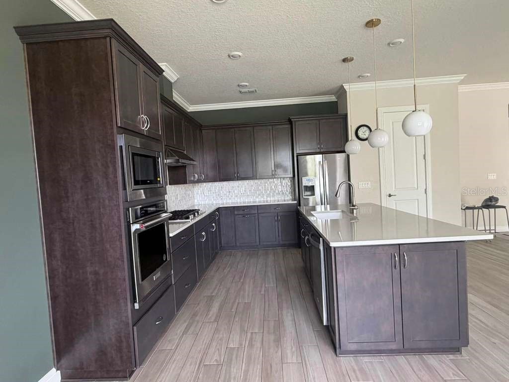10732 Pahokee Beach Place Orlando FL 32827 O6412914 image2