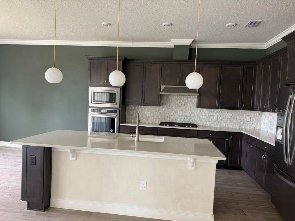 10732 Pahokee Beach Place Orlando FL 32827 O6412914 image3