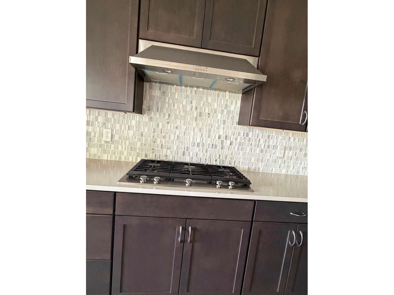 10732 Pahokee Beach Place Orlando FL 32827 O6412914 image6