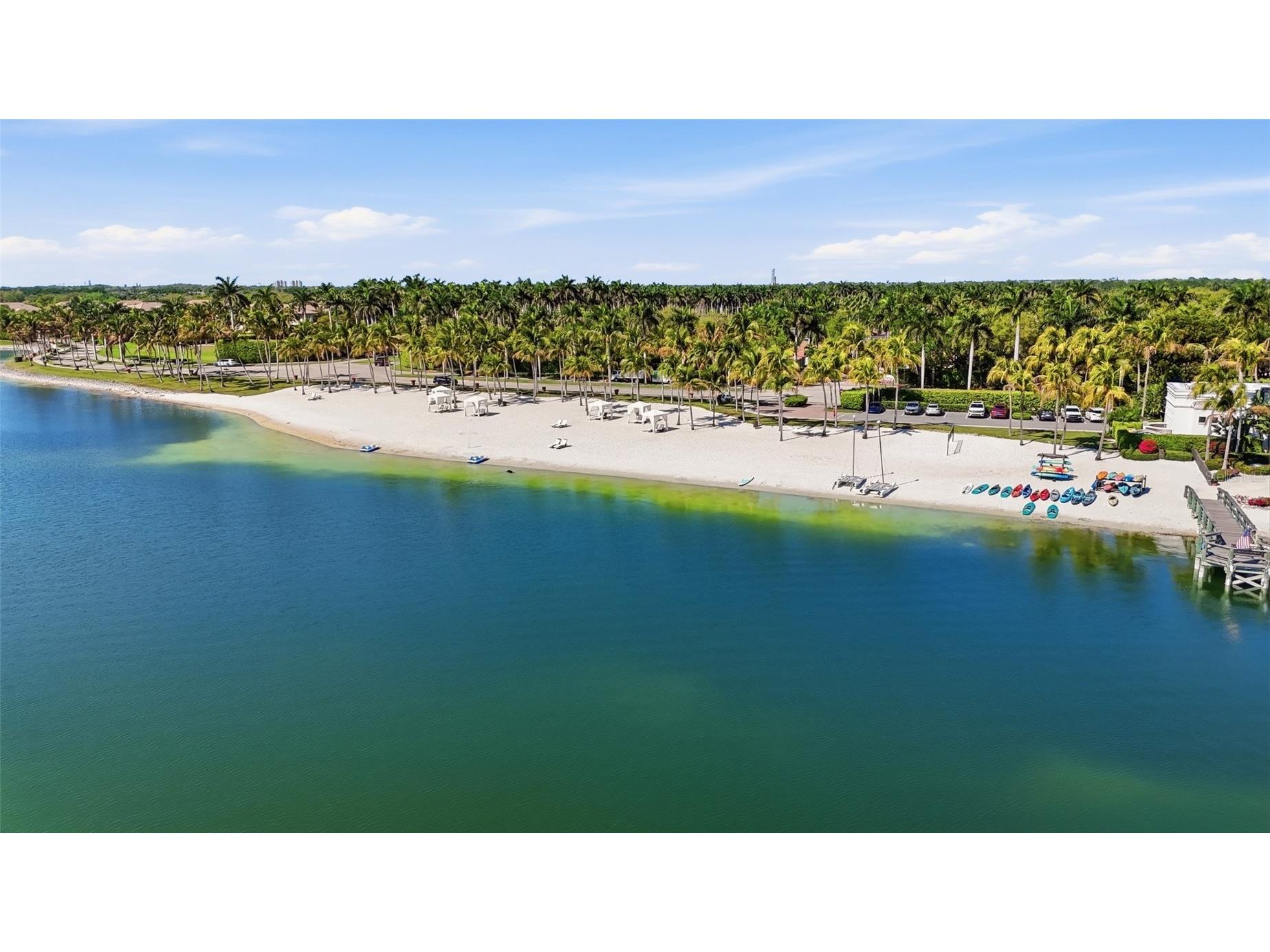 10733 Mirasol Drive #607 Miromar Lakes FL 33913 C7523890 image47