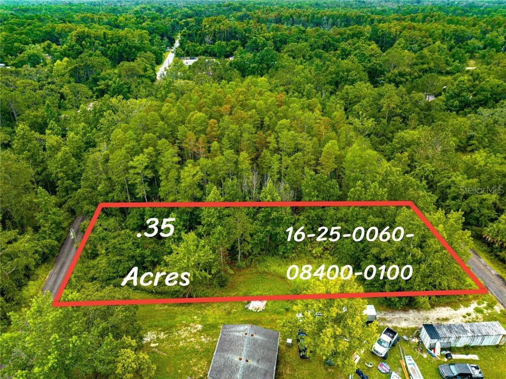 10733 Olsen Street New Port Richey FL 34654 O6121073 image1