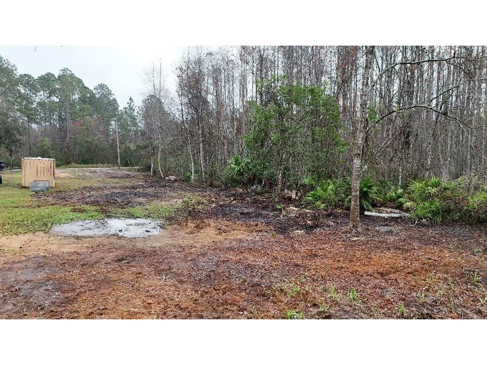 10733 Olsen Street New Port Richey FL 34654 TB8417205 image2