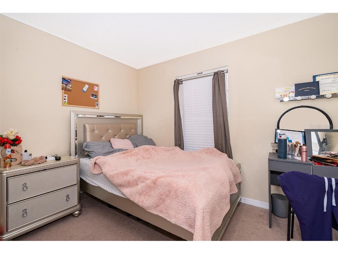 10733 Savannah Landing Circle Orlando FL 32832 S5136610 image13