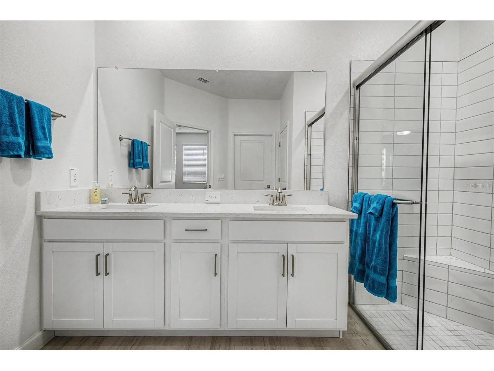 10733 Tupper Cay Drive San Antonio FL 33576 TB8514888 image19