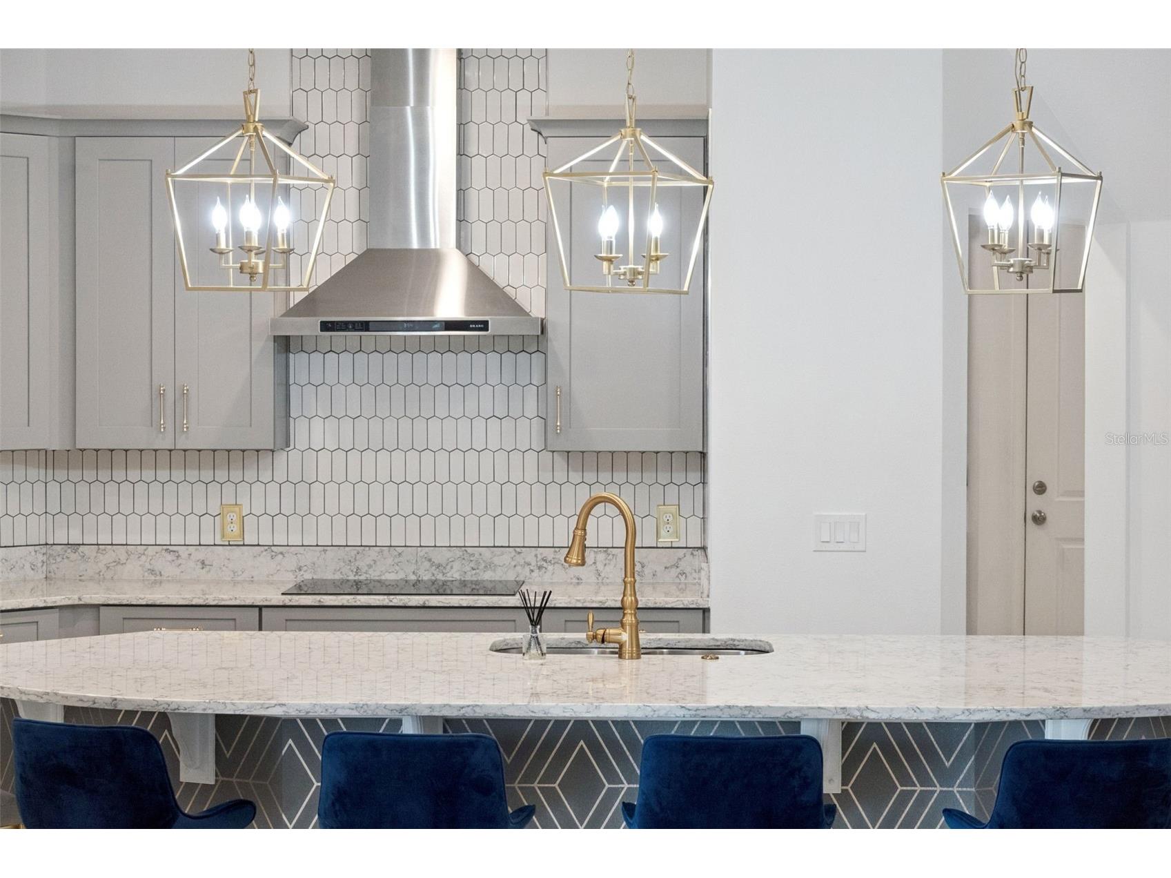 10734 Belle Maisons Drive Orlando FL 32832 S5147845 image13