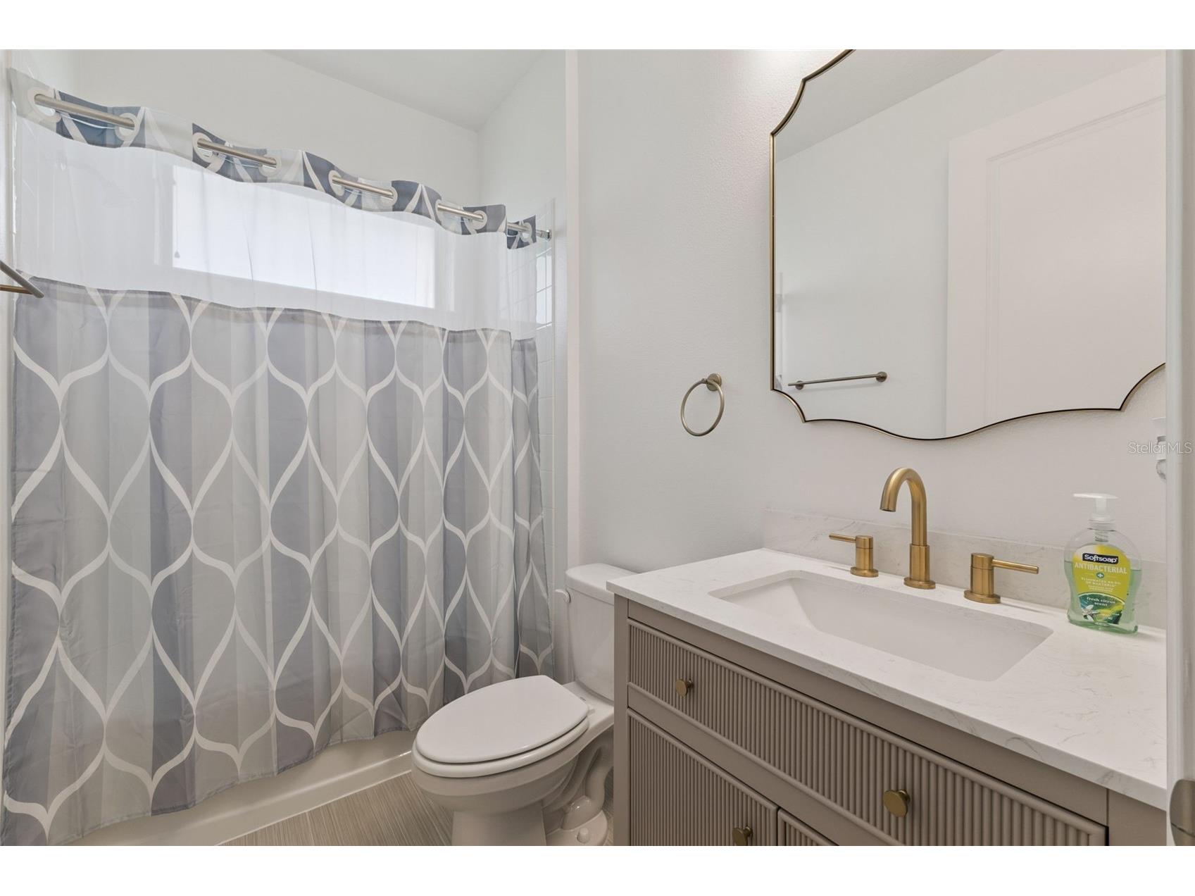 10734 Belle Maisons Drive Orlando FL 32832 S5147845 image24