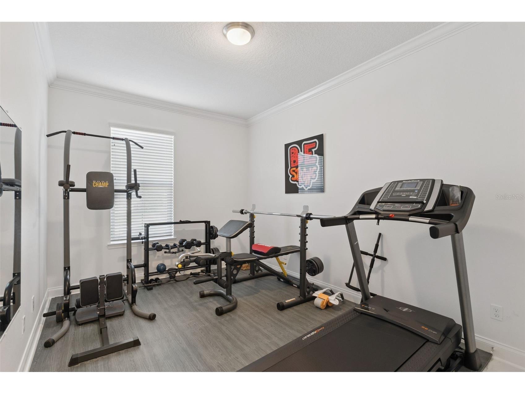 10734 Belle Maisons Drive Orlando FL 32832 S5147845 image30