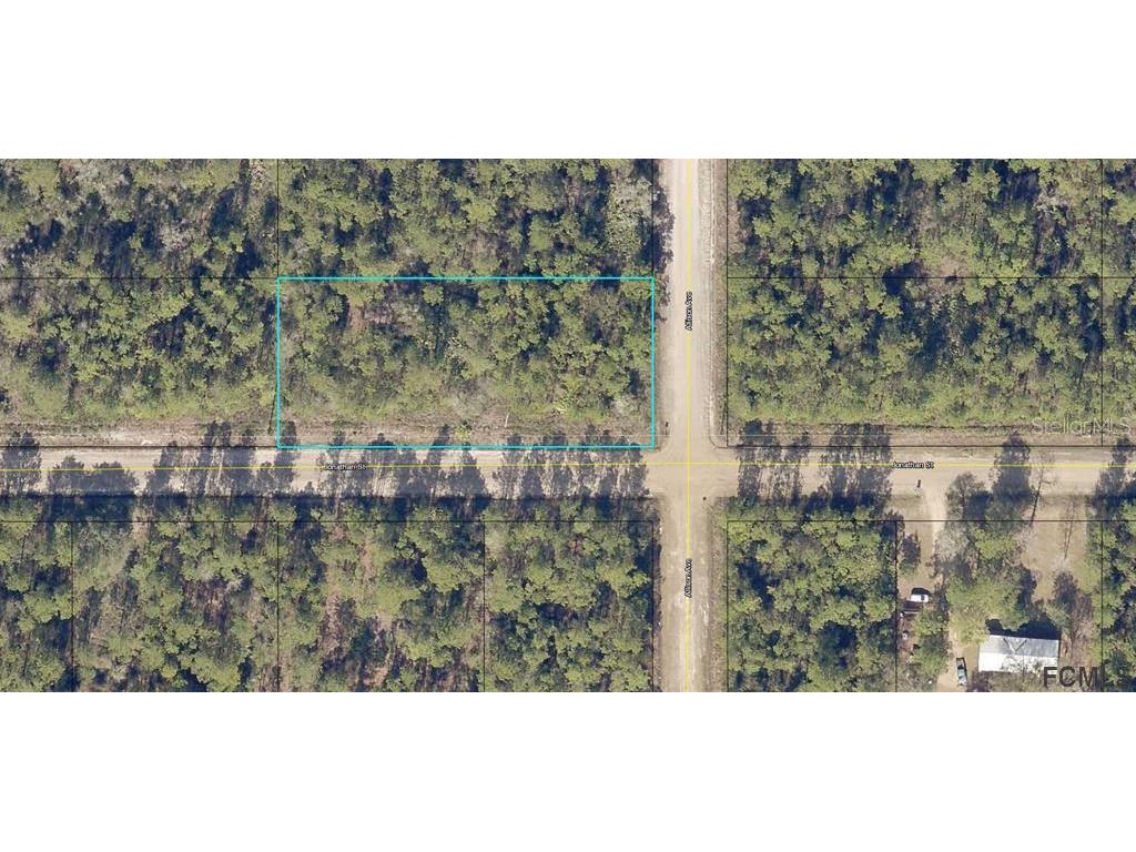 10735 Allison Avenue Hastings FL 32145 FC273869 image2
