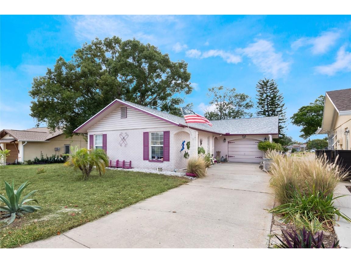 10735 Hachita Drive Port Richey FL 34668 O6156209 image1