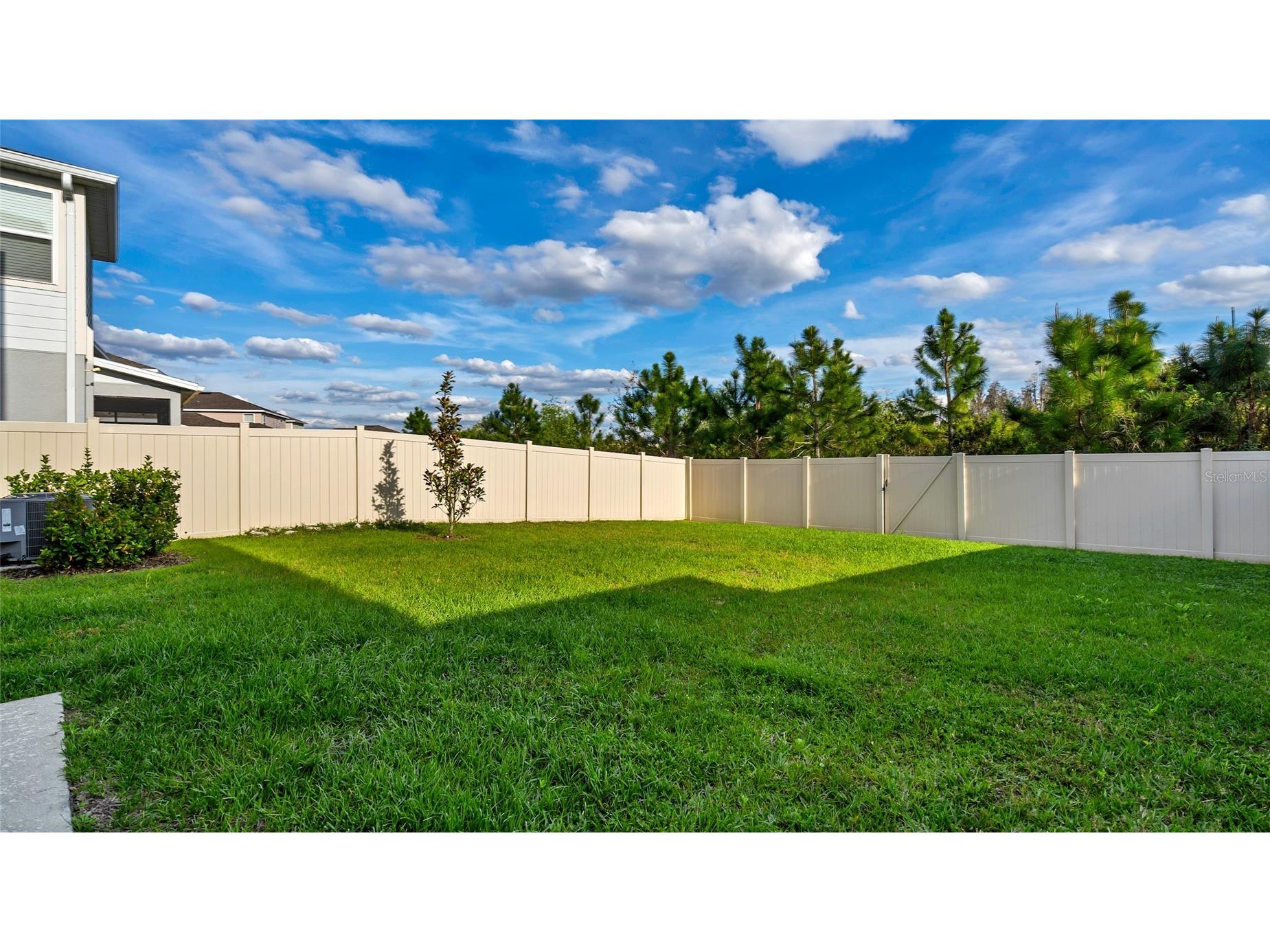 10735 Hawks Landing Drive Land O Lakes FL 34638 TB8509083 image23