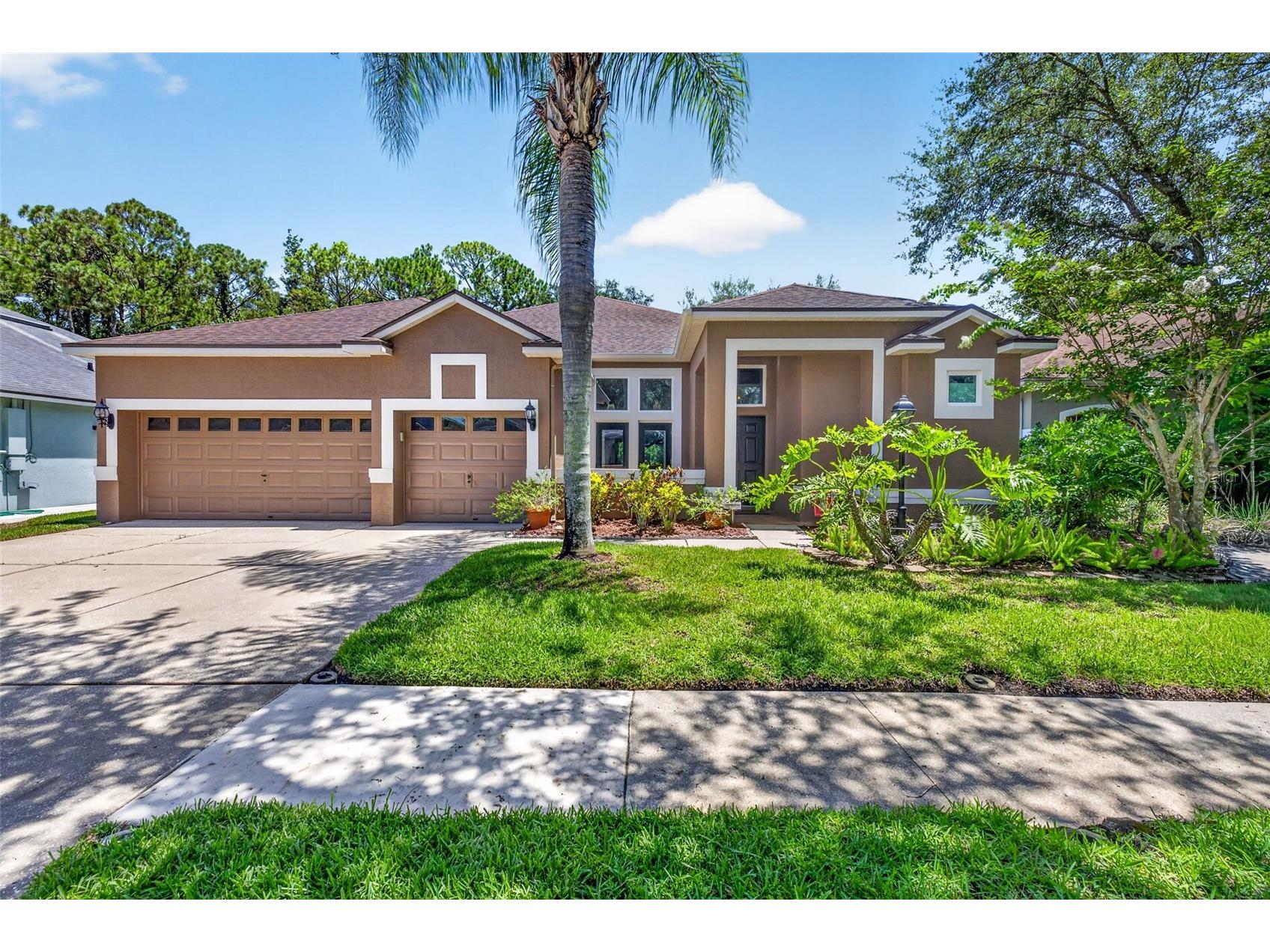 10737 Ayrshire Drive Tampa FL 33626 TB8529503 image1