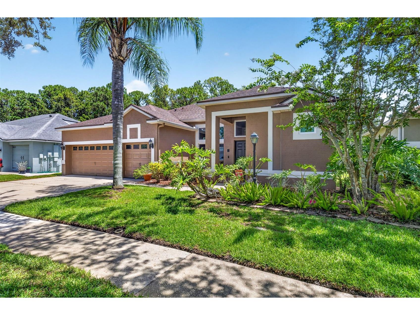 10737 Ayrshire Drive Tampa FL 33626 TB8529503 image2