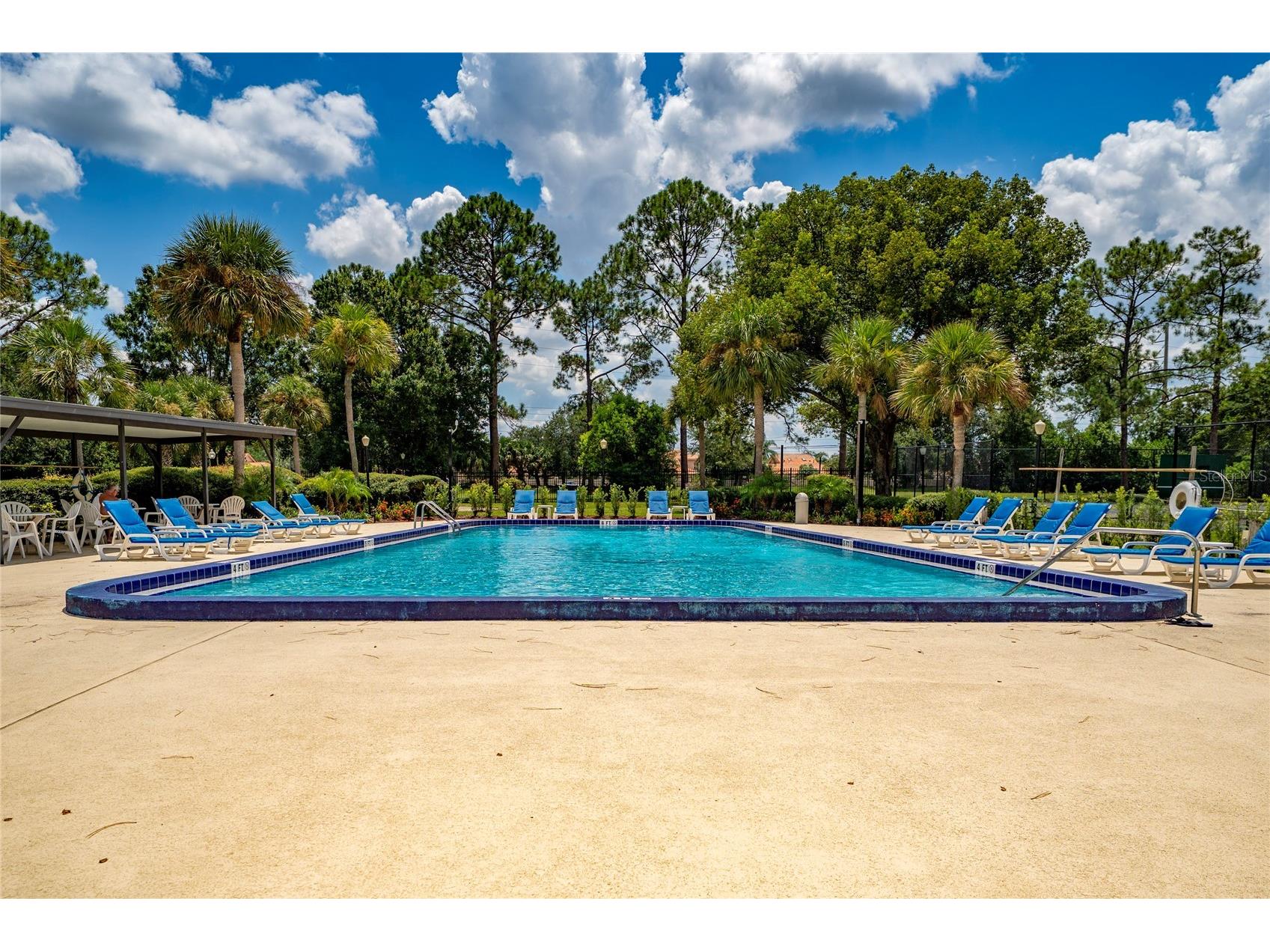 10737 Larissa Street Orlando FL 32821 S5152759 image26