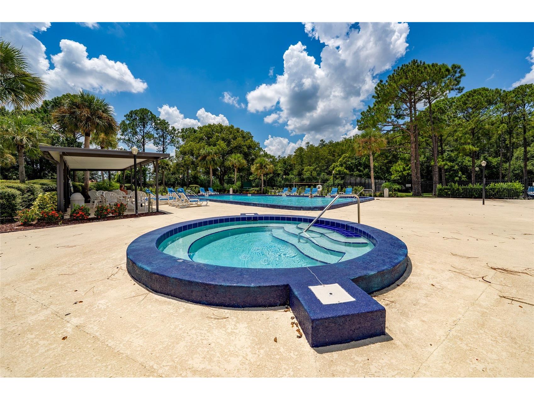 10737 Larissa Street Orlando FL 32821 S5152759 image27
