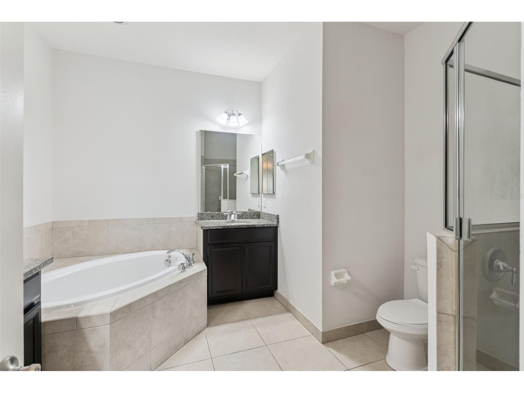 10738 Belfry Circle Orlando FL 32832 O6398149 image12