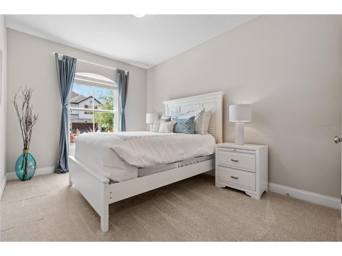 10739 Bonne Chance Drive Orlando FL 32832 O6353825 image35