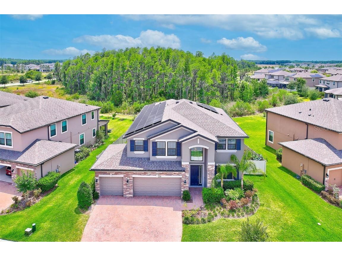 10739 Pleasant Knoll Drive Tampa FL 33647 T3445367 image1
