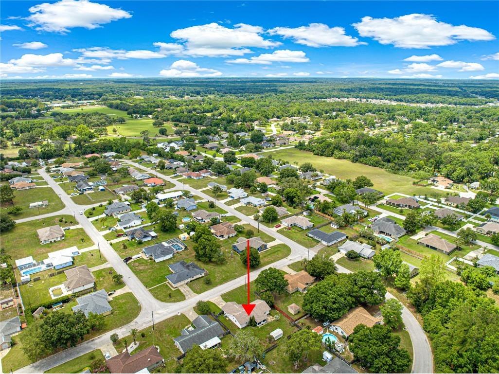 10739 SE 44th Terrace Belleview FL 34420 OM701270 image40