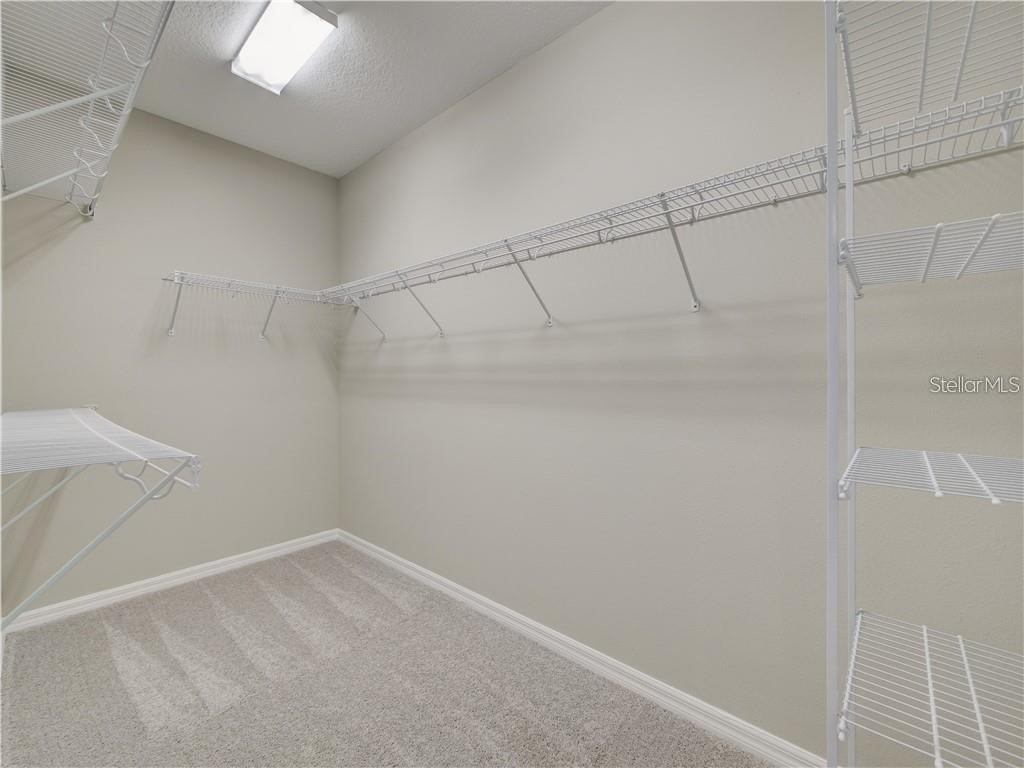 1074 Amber Leaf Trail Wesley Chapel FL 33544 TB8504577 image18