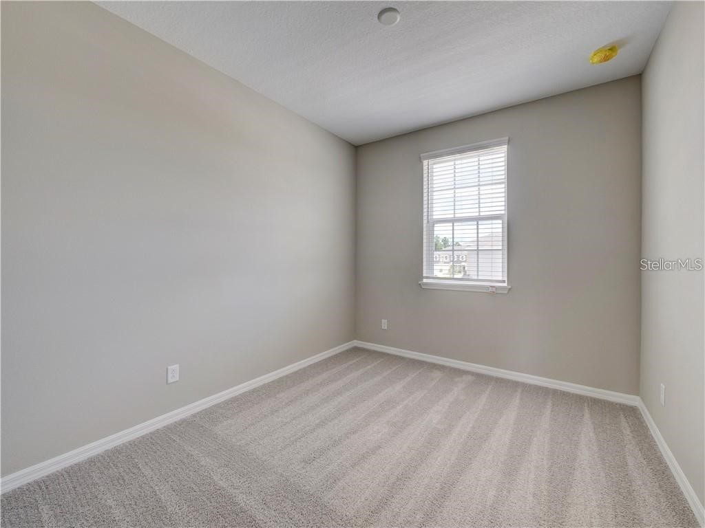 1074 Amber Leaf Trail Wesley Chapel FL 33544 TB8504577 image22