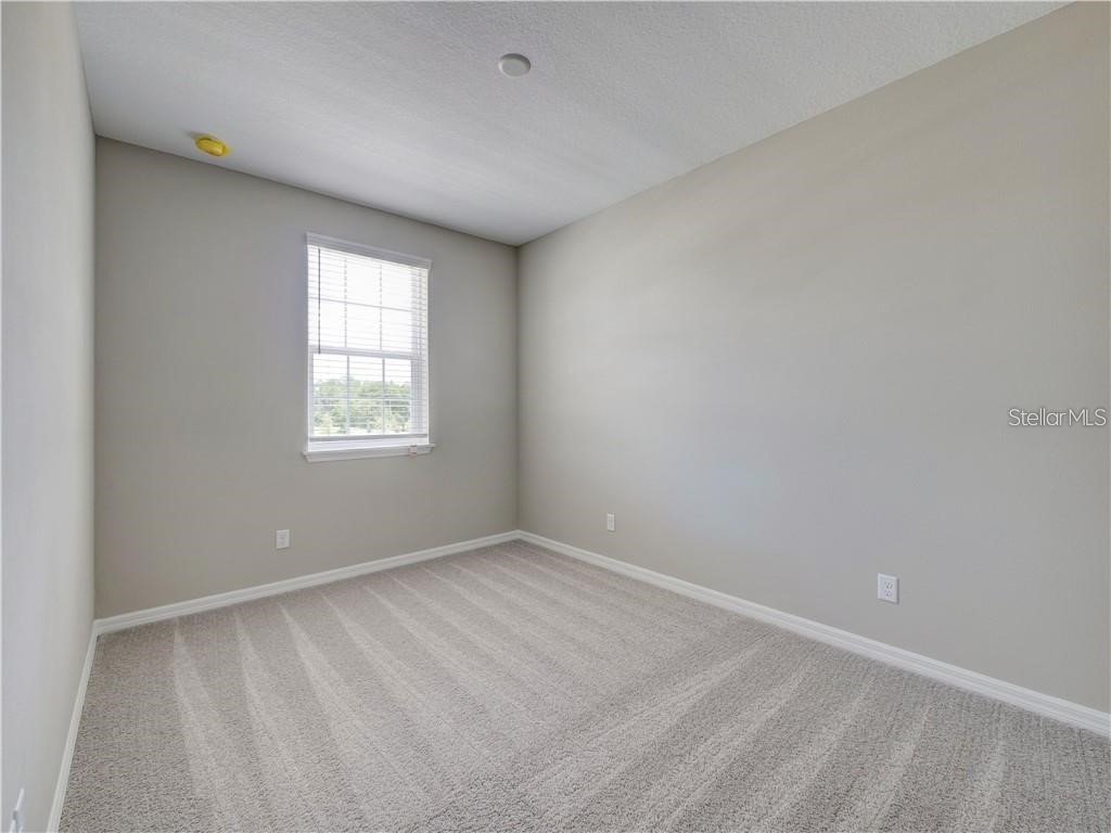 1074 Amber Leaf Trail Wesley Chapel FL 33544 TB8504577 image23