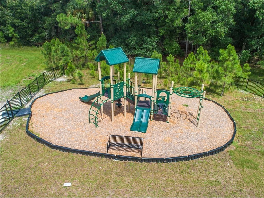1074 Amber Leaf Trail Wesley Chapel FL 33544 TB8504577 image31
